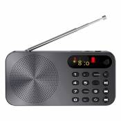 Universal Radio FM multifonctionnelle Q6 rechargeable danseuse LED affichage numérique radio |(Le noir)