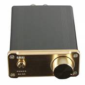SMSL SA-50 2x50W D-AMP TDA7492 Hi-Fi Amplificateur