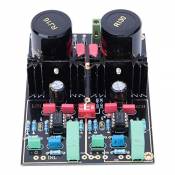 Module D'ampli HIFI Audio Double Circuit MM/MC Amplificateur