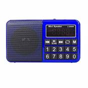 RUIXFFT Mini Radio Portable, numérique Multi Bande