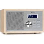 auna Ambient Radio numérique DAB-DAB+ - Tuner FM -