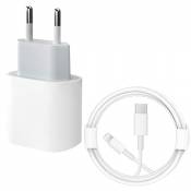 iPhone 12 Fast Charger【MFi Certified】 20W PD Type