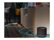 Amazon Echo Sub - Caisson de basses - sans fil - Wi-Fi