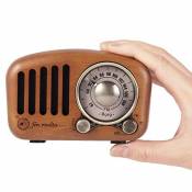PRUNUS J-919 Radio Portable Rechargeable Classique