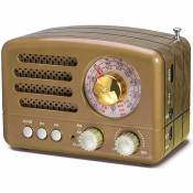 Prunus radio portable vintage FM AM(MW) SW bluetooth