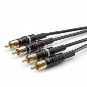Sommer Cable Basic+ HBP-C2 / 2 RCA Hicon vers 2 RCA