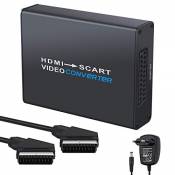 LiNKFOR1080P HDMI vers Péritel Convertisseur HDMI