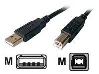 Dexlan Cordon High speed USB 2.0 type AB M/M Noir 1,8