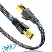 SWECENT Cat 8 Plat Câble Ethernet 5M, Cavalier LAN