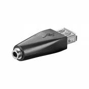 Wentronic Adaptateur USB Prise A / Prise 3,5 mm (Import