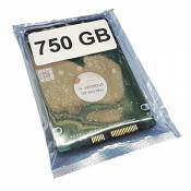 750GB (750 Go) Disque Dur HDD, composant Alternatif,