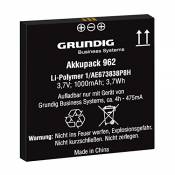Grundig Li-ION 1000 mAh Batterie/Pile - Accessoires