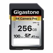 Gigastone Carte Mémoire SDXC 256 Go, 4K Caméra Pro