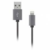 Artwizz 5996-1359 Câble USB pour iPhone/iPad/iPod