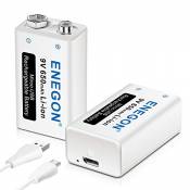 ENEGON Batterie 9V 650mAh USB Directe Rechargeable