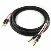 Selected Cable Lot de 2 câbles d'enceinte High End