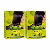 Hesh Pharma Amla Hair Powder 3.5oz., 100g (Pack of