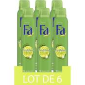 FA Déodorant Anti Transpirant - Efficacité 48h -
