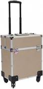 ALYR Professional Valise Trolley Maquillage, Valise