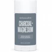 Déodorant Stick Charbon & Magnésium Schmidt's